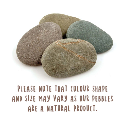 Rainbow Cocker Spaniel Black Personalised Pebble
